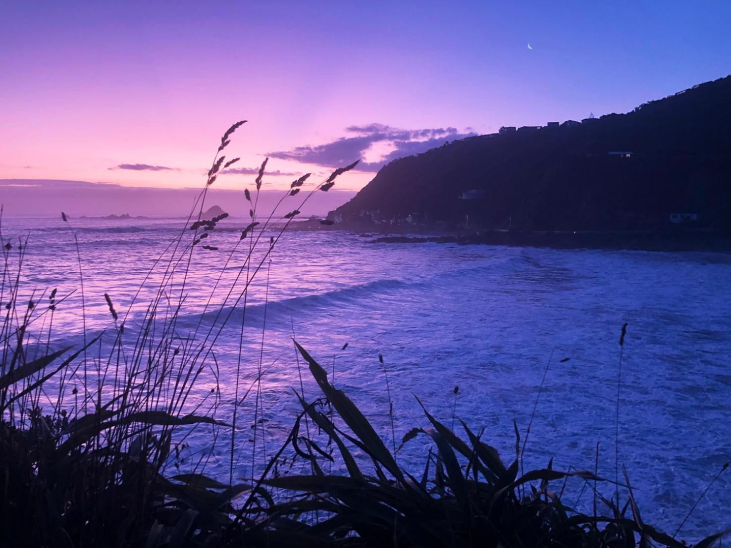 Vila Stunning Views Ocean-Front Wellington Exteriér fotografie